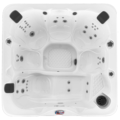 Hot Tubs, Spas, Portable Spas, for sale American Spas shell